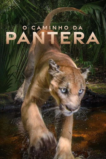 Assistir O Caminho da Pantera online dublado e legendado