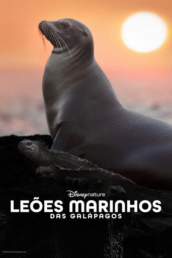 Assistir Leões-Marinhos de Galápagos online dublado e legendado