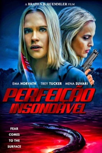 Assistir Perfeição Insondável online dublado e legendado