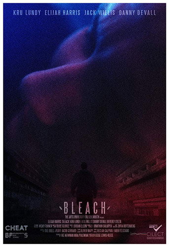 Assistir Bleach online dublado e legendado