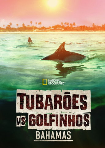 Assistir Tubarões vs. Golfinhos: Bahamas online dublado e legendado