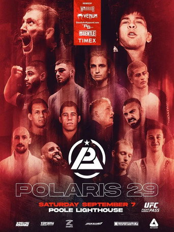 Assistir Polaris 29 online dublado e legendado