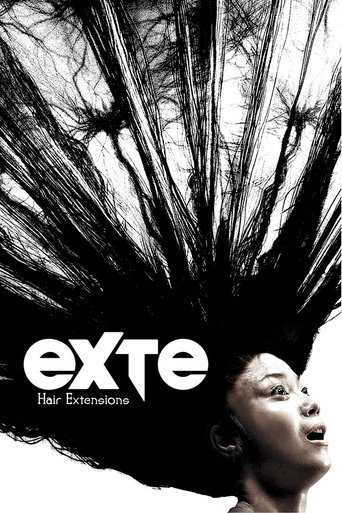 Poster de Exte: Extensões Capilares
