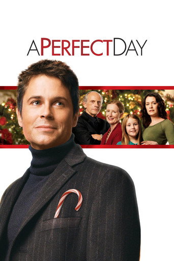 Assistir Um Dia Perfeito online dublado e legendado