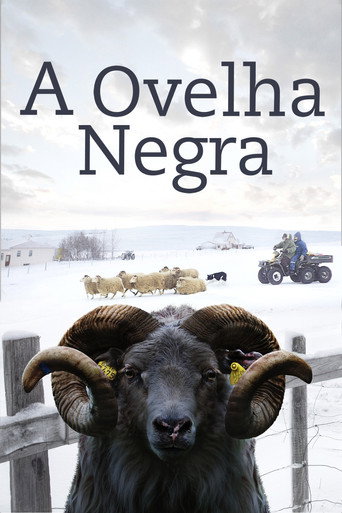 Assistir A Ovelha Negra online dublado e legendado