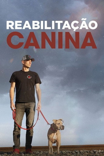 Poster de Reabilitação Canina