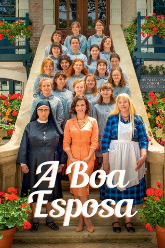 Assistir A Boa Esposa online dublado e legendado