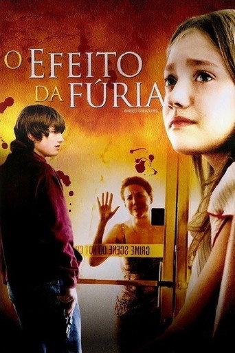 Poster de O Efeito da Fúria