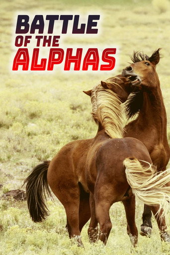Assistir Batalha dos Alfas online dublado e legendado