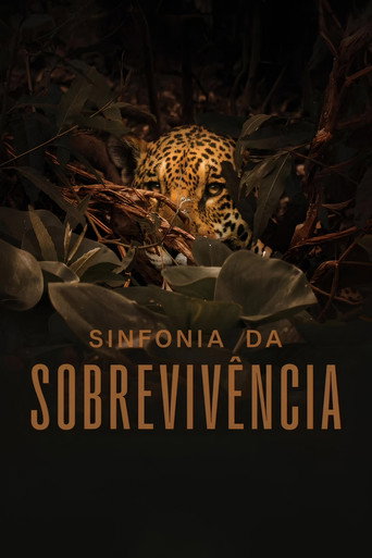 Assistir Sinfonia da Sobrevivência online dublado e legendado