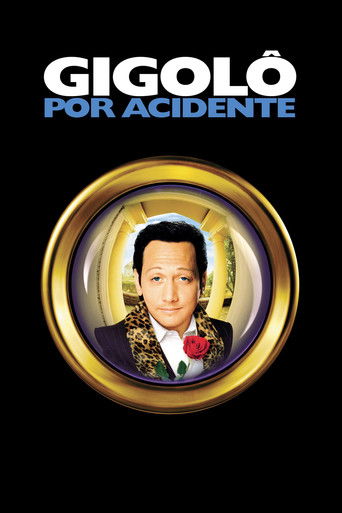 Assistir Gigolô por Acidente online dublado e legendado