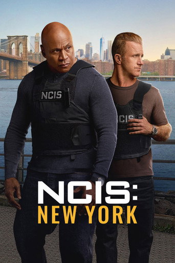 Assistir NCIS: New York online dublado e legendado