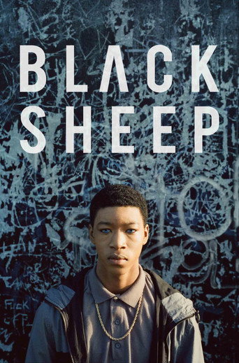 Poster de Ovelha Negra