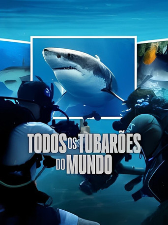 Assistir Todos os Tubarões do Mundo online dublado e legendado
