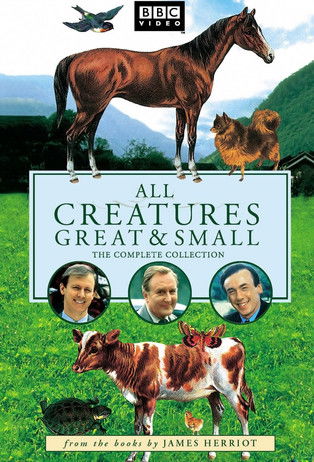 Poster de Criaturas Grandes e Pequenas