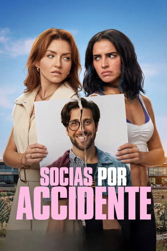 Poster de Accidental Partners