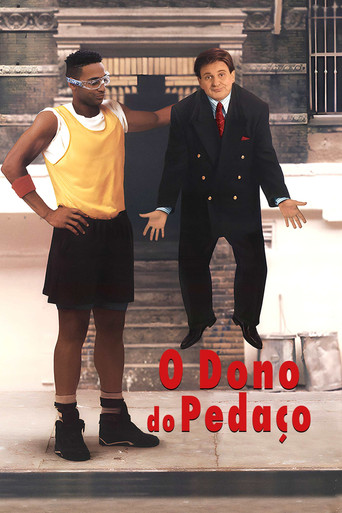 Poster de O Dono do Pedaço
