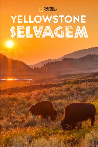 Assistir Yellowstone Selvagem online dublado e legendado