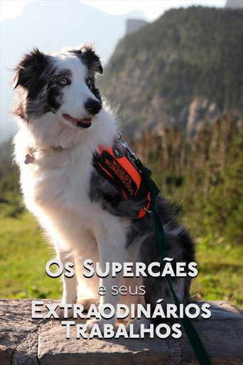 Assistir Os Supercães e Seus Extraordinários Trabalhos online dublado e legendado