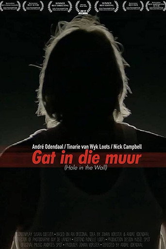 Assistir Buraco na Parede online dublado e legendado