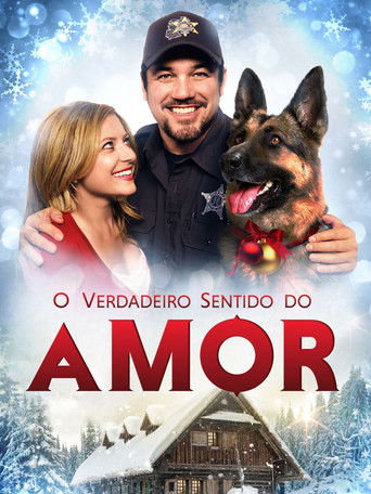 Assistir O Verdadeiro Sentido do Amor online dublado e legendado