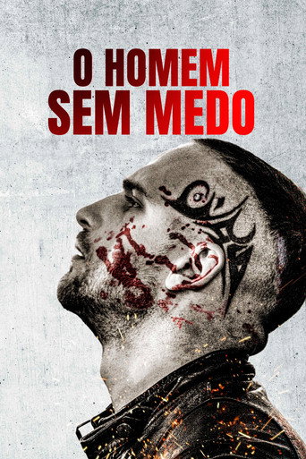 Assistir O Homem Sem Medo online dublado e legendado