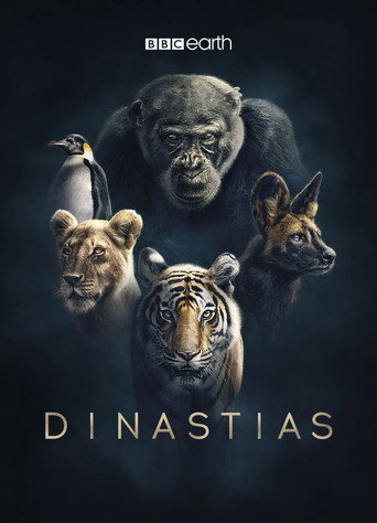 Poster de Dinastias