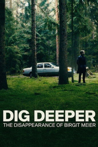 Assistir O Desaparecimento de Birgit Meier online dublado e legendado