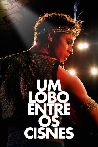 Assistir Um Lobo entre os Cisnes online dublado e legendado