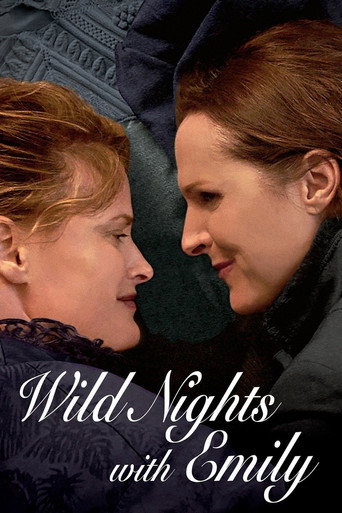 Poster de Loucas Noites com Emily