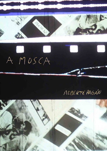 Assistir A mosca online dublado e legendado