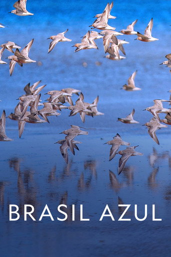 Assistir Brasil Azul online dublado e legendado