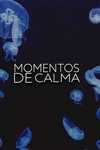 Assistir Momentos de calma online dublado e legendado