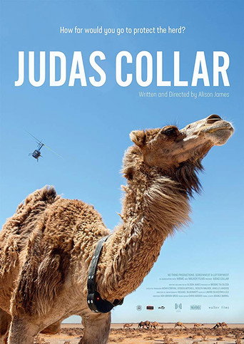 Assistir Judas Collar online dublado e legendado