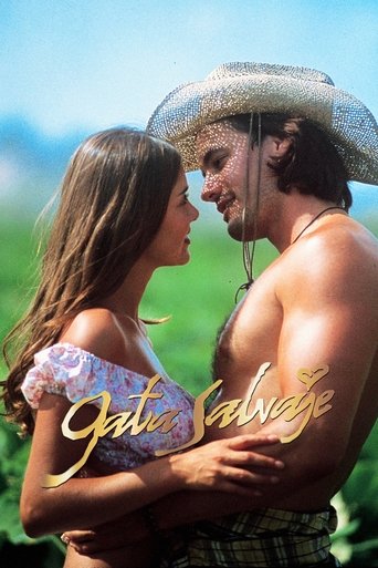 Assistir Gata Selvagem online dublado e legendado