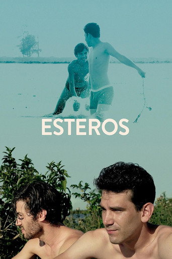 Poster de Esteros