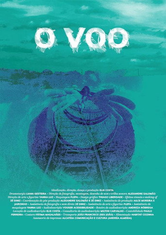 Assistir O Voo online dublado e legendado