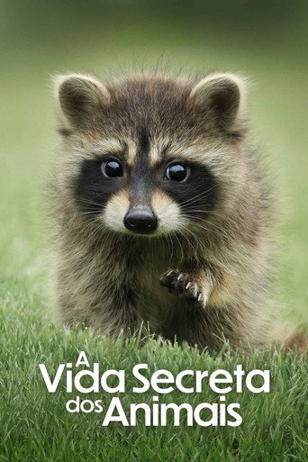 Assistir A Vida Secreta dos Animais online dublado e legendado