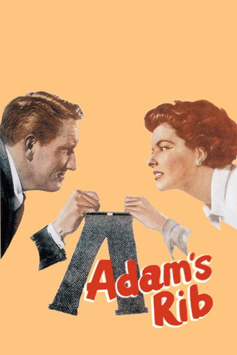 Poster de A Costela de Adão