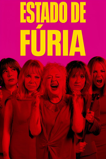 Poster de Estado de Fúria
