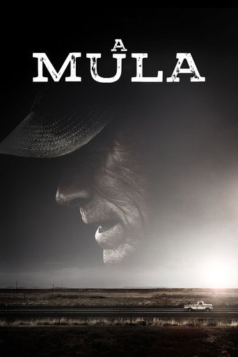 Poster de A Mula