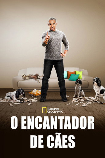 Poster de O Encantador de Cães