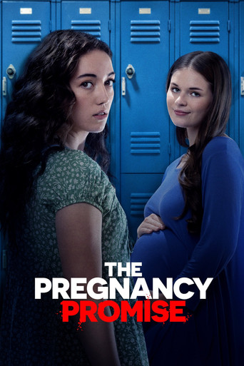 Assistir The Pregnancy Promise online dublado e legendado