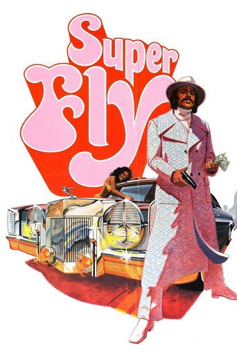Poster de Super Fly