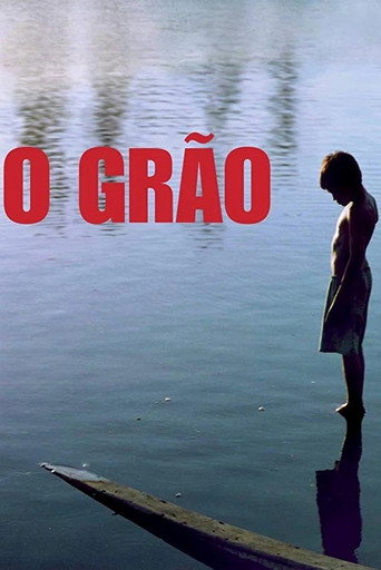 Assistir O Grão online dublado e legendado
