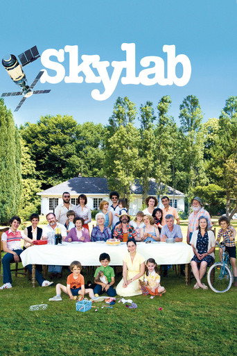 Poster de O Verão do Skylab