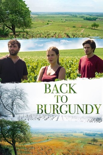 Poster de De volta à Borgonha