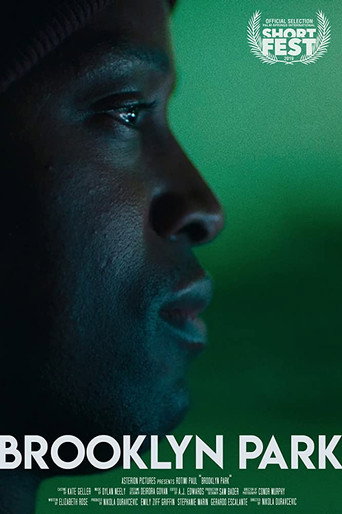 Assistir Brooklyn Park online dublado e legendado