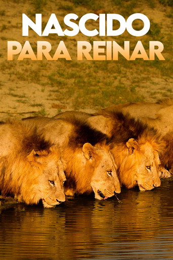 Assistir Nascido para Reinar online dublado e legendado