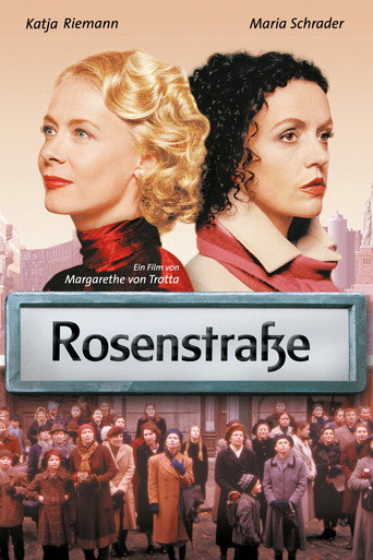 Assistir Rosenstraße online dublado e legendado